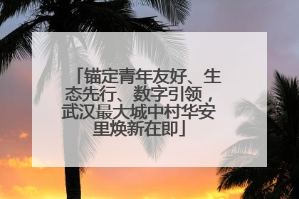 锚定青年友好、生态先行、数字引领，武汉最大城中村华安里焕新在即
