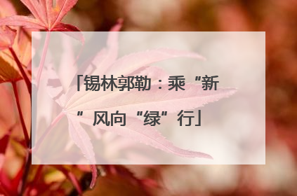 锡林郭勒：乘“新”风向“绿”行