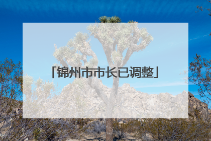 锦州市市长已调整