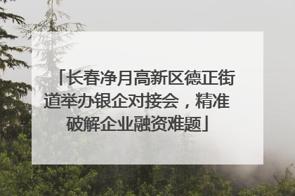 长春净月高新区德正街道举办银企对接会，精准破解企业融资难题
