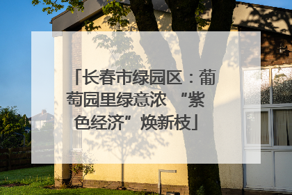 长春市绿园区：葡萄园里绿意浓 “紫色经济”焕新枝