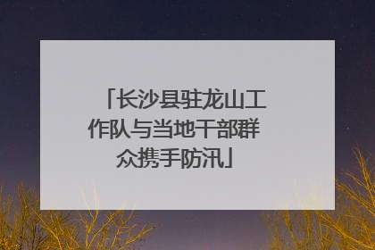 长沙县驻龙山工作队与当地干部群众携手防汛