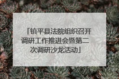 镇平县法院组织召开调研工作推进会暨第二次调研沙龙活动