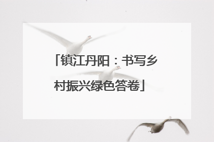 镇江丹阳：书写乡村振兴绿色答卷