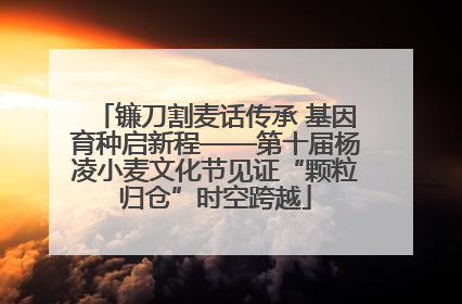 镰刀割麦话传承 基因育种启新程——第十届杨凌小麦文化节见证“颗粒归仓”时空跨越