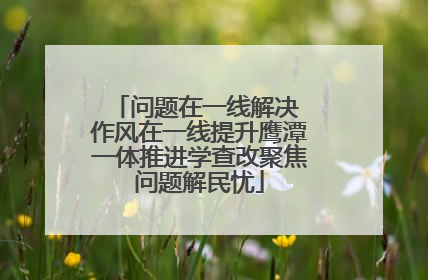 问题在一线解决 作风在一线提升鹰潭一体推进学查改聚焦问题解民忧