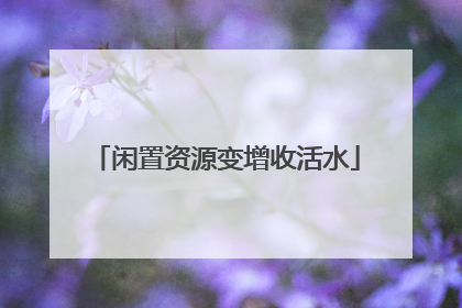 闲置资源变增收活水