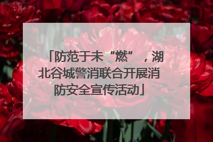 防范于未“燃”，湖北谷城警消联合开展消防安全宣传活动