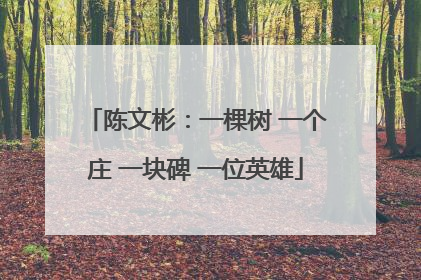 陈文彬：一棵树 一个庄 一块碑 一位英雄