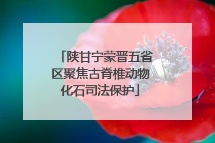 陕甘宁蒙晋五省区聚焦古脊椎动物化石司法保护