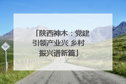 陕西神木：党建引领产业兴 乡村振兴谱新篇