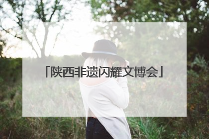 陕西非遗闪耀文博会