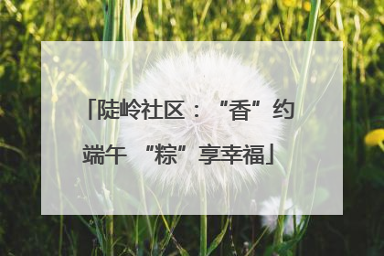 陡岭社区：“香”约端午 “粽”享幸福