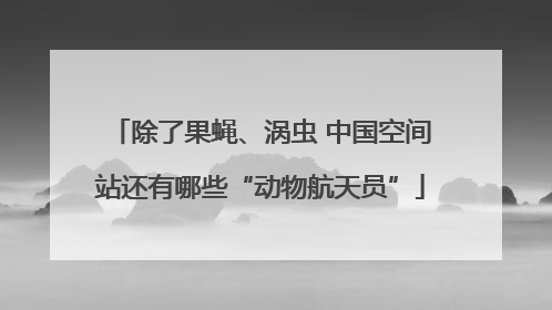 除了果蝇、涡虫 中国空间站还有哪些“动物航天员”