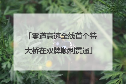 零道高速全线首个特大桥在双牌顺利贯通