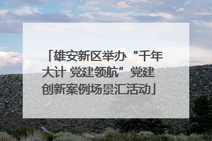 雄安新区举办“千年大计 党建领航”党建创新案例场景汇活动
