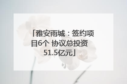 雅安雨城：签约项目6个 协议总投资51.5亿元