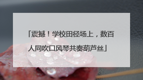 震撼！学校田径场上，数百人同吹口风琴共奏葫芦丝