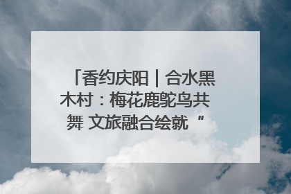 香约庆阳｜合水黑木村：梅花鹿鸵鸟共舞 文旅融合绘就“诗与远方”