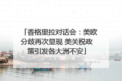香格里拉对话会：美欧分歧再次显现 美关税政策引发各大洲不安