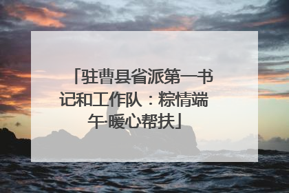 驻曹县省派第一书记和工作队：粽情端午·暖心帮扶