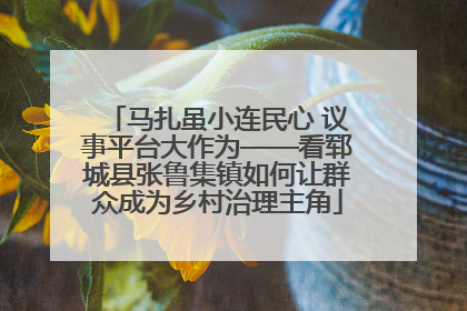 马扎虽小连民心 议事平台大作为——看郓城县张鲁集镇如何让群众成为乡村治理主角