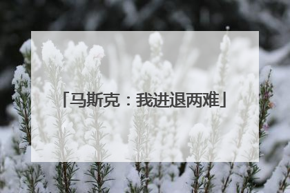 马斯克：我进退两难