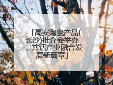 高安陶瓷产品(长沙)推介会举办，共话产业融合发展新篇章