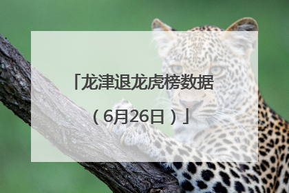 龙津退龙虎榜数据（6月26日）