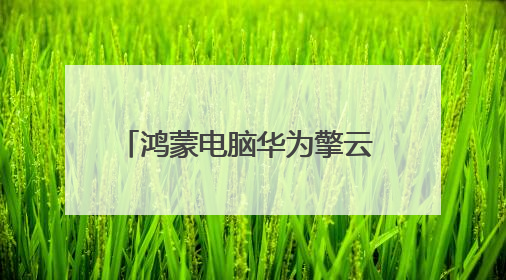 鸿蒙电脑华为擎云 HM940成为2025天津夏季达沃斯中方办公支持电脑