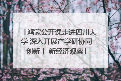 鸿蒙公开课走进四川大学 深入开展产学研协同创新丨 新经济观察