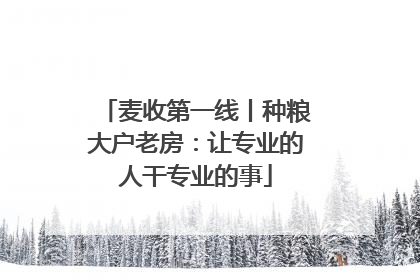 麦收第一线丨种粮大户老房：让专业的人干专业的事