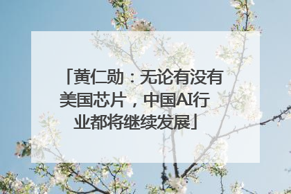 黄仁勋：无论有没有美国芯片，中国AI行业都将继续发展