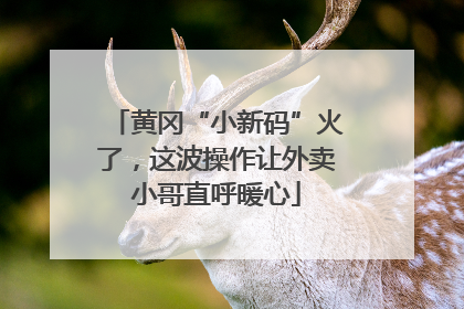 黄冈“小新码”火了，这波操作让外卖小哥直呼暖心