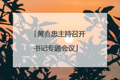 黄喜忠主持召开书记专题会议