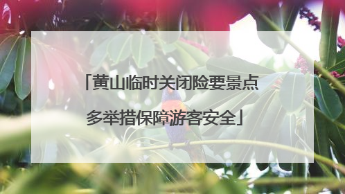 黄山临时关闭险要景点 多举措保障游客安全