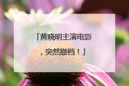 黄晓明主演电影，突然撤档！