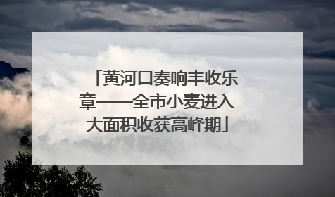 黄河口奏响丰收乐章——全市小麦进入大面积收获高峰期
