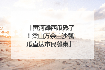 黄河滩西瓜熟了！梁山万余亩沙瓤瓜直达市民餐桌