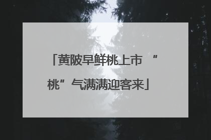 黄陂早鲜桃上市 “桃”气满满迎客来