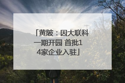 黄陂：因大联科一期开园 首批14家企业入驻