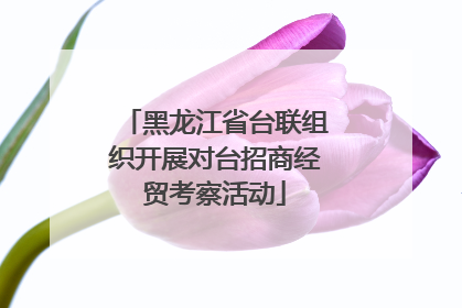 黑龙江省台联组织开展对台招商经贸考察活动