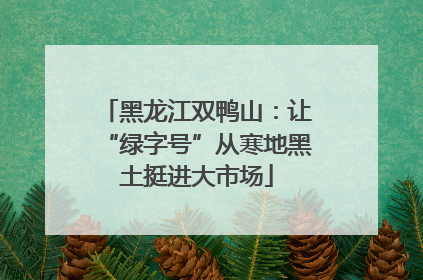 黑龙江双鸭山：让“绿字号”从寒地黑土挺进大市场