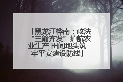 黑龙江桦南：政法“三箭齐发”护航农业生产 田间地头筑牢平安建设防线