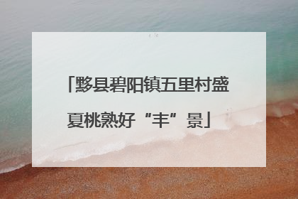 黟县碧阳镇五里村盛夏桃熟好“丰”景