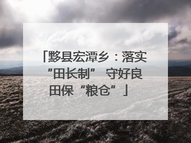 黟县宏潭乡：落实“田长制” 守好良田保“粮仓”