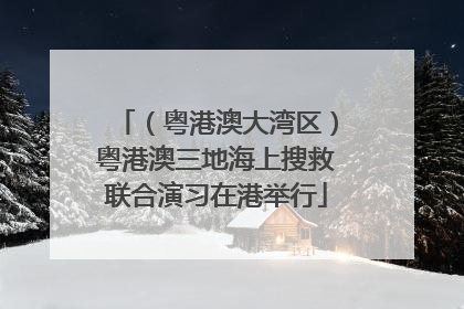 （粤港澳大湾区）粤港澳三地海上搜救联合演习在港举行