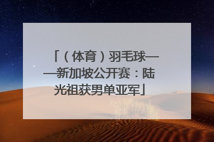 （体育）羽毛球——新加坡公开赛：陆光祖获男单亚军