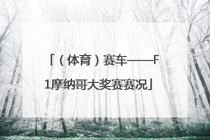 （体育）赛车——F1摩纳哥大奖赛赛况