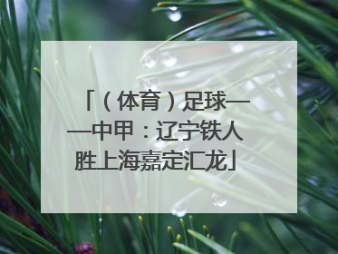 （体育）足球——中甲：辽宁铁人胜上海嘉定汇龙